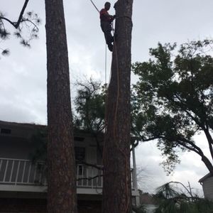 Meet your Posher, Ricardo